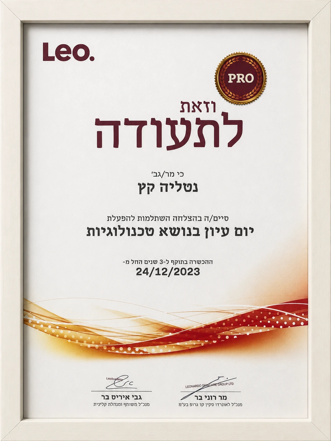 תעודת סמינר טכנולוגיות — Leo Academy